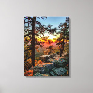 Toile Sunset Mogollon Rim Arizona Pine Trees 18x24