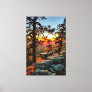 Toile Sunset Mogollon Rim Arizona Pine Trees 40x60