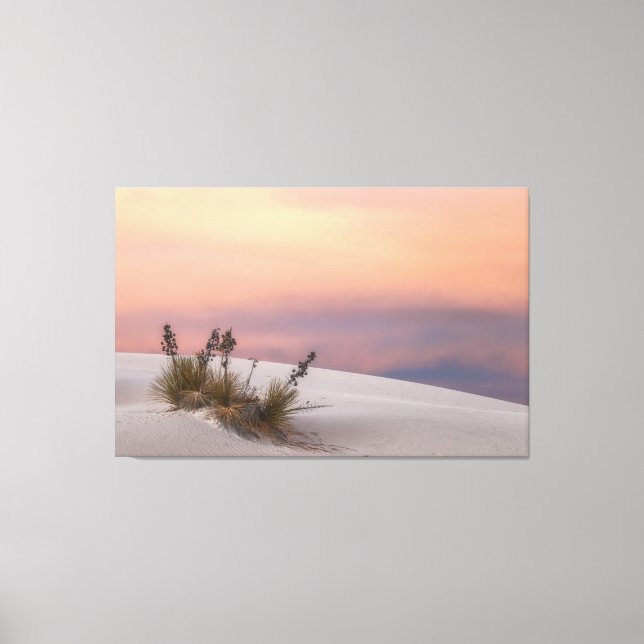 Toile Sunset White Sands (Recto)