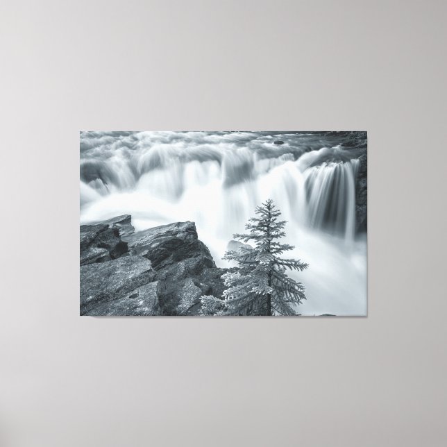 Toile Sunwapta Falls bw (Recto)
