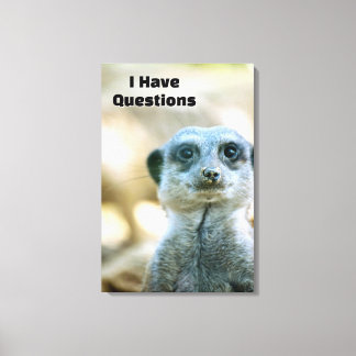 Toile Suricate drôle J'ai des questions Humour animal