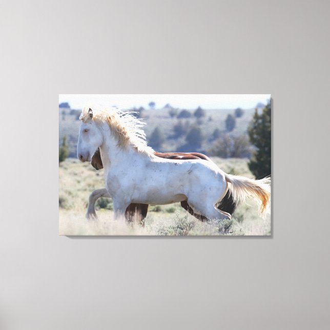 Toile survivant enrobée (Recto)