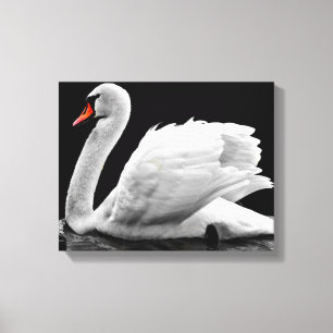 Toile Swan