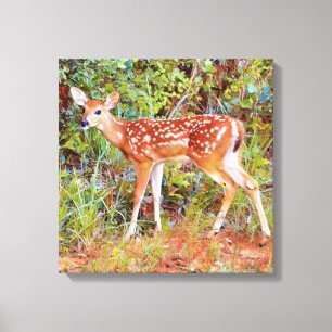 Toile Sweet Baby Wild Deer Fawn Canvas Imprimer