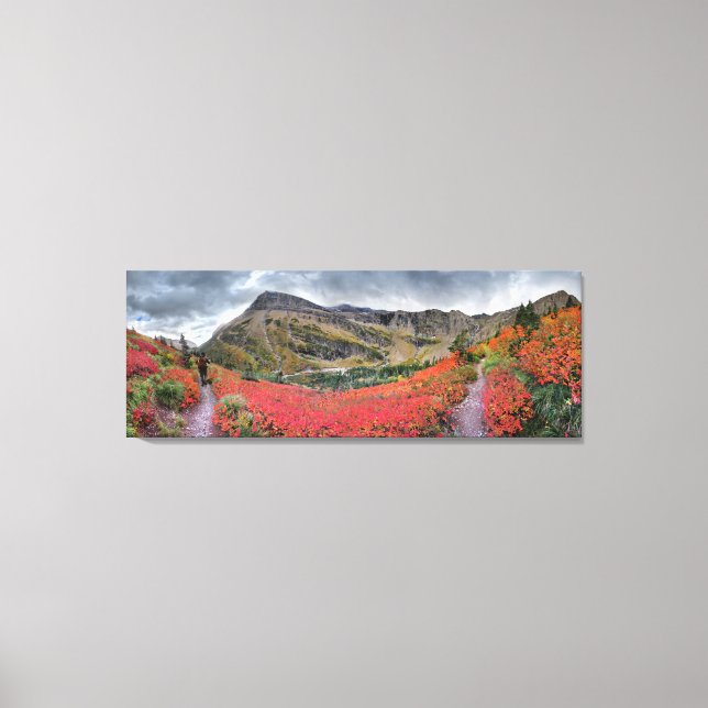 Toile Swiftcurrent Pass Trail - Parc national des Glacie (Recto)