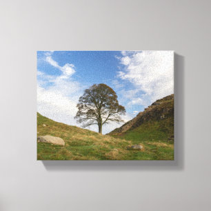 Toile Sycamore Gap en automne