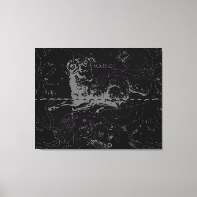 Toile SYMBOLE SYRIE vintage CONSTellation Hevelius 1690 (Recto)