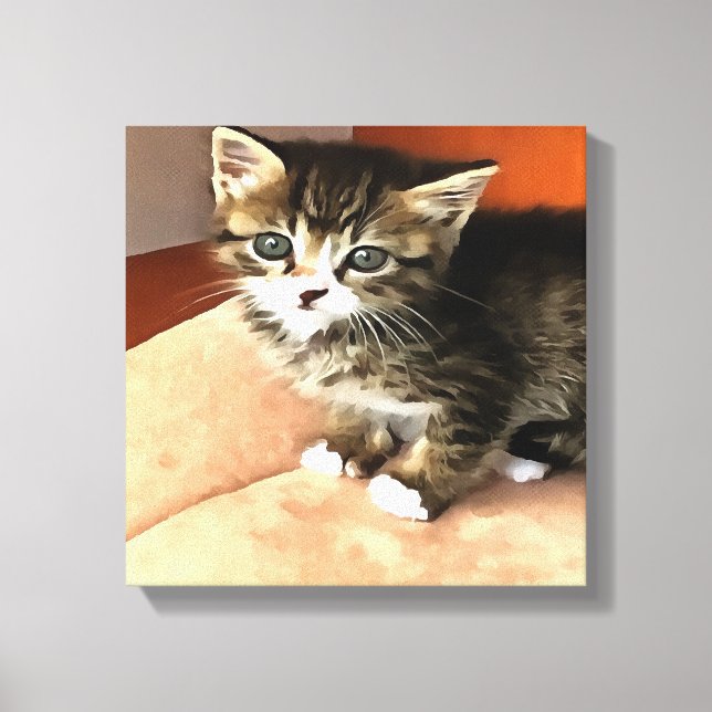 Toile Tabby Cat Kitten Portrait pour animaux (Recto)