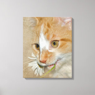 Toile Tabby chaton avec marguerite