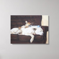 tableau de chiot bouddin blanc américain bulldog