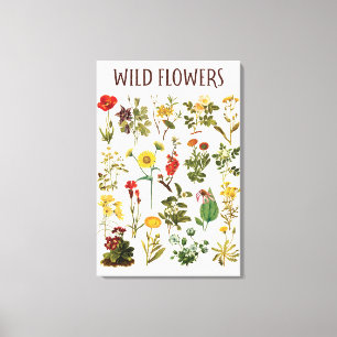 Toile Tableau de fleurs sauvages vintage