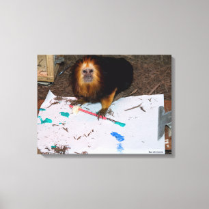 Toile Tableau de Lion Tamarin à tête dorée