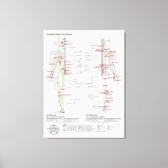 Toile Tableau schématique des méridiens du corps humain  (Recto)