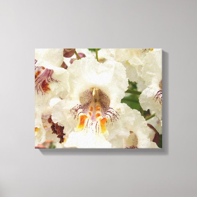 Toile Tableaux Fleurs de haricots indiens (Recto)