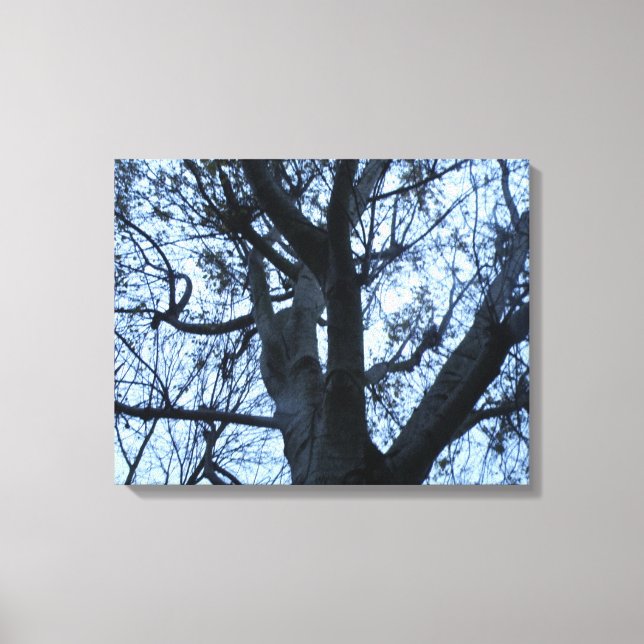 Toile Tableaux photographiques Silhouette Arbre (Recto)