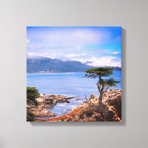 Toile Tablette Carmel Lone Tree étirée