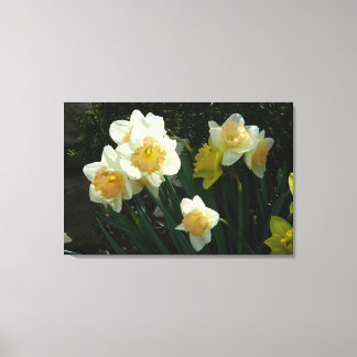 Toile Tablette Daffodique De Ressort Lumineux Imprimer