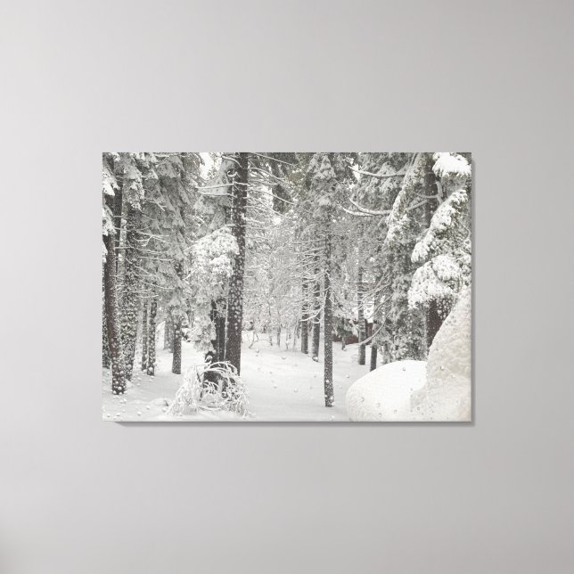 Toile Tahoe Winter Wonderland (Recto)