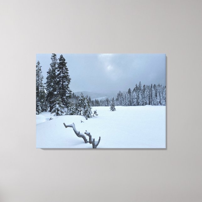 Toile Tahoe Winter Wonderland (Recto)