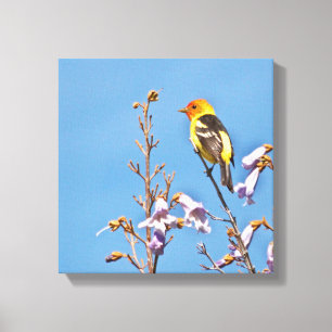 Toile Tanager de l'Ouest