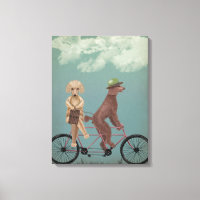 Tandem de caniche