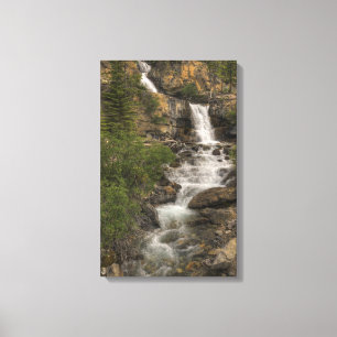 Toile Tangle Falls