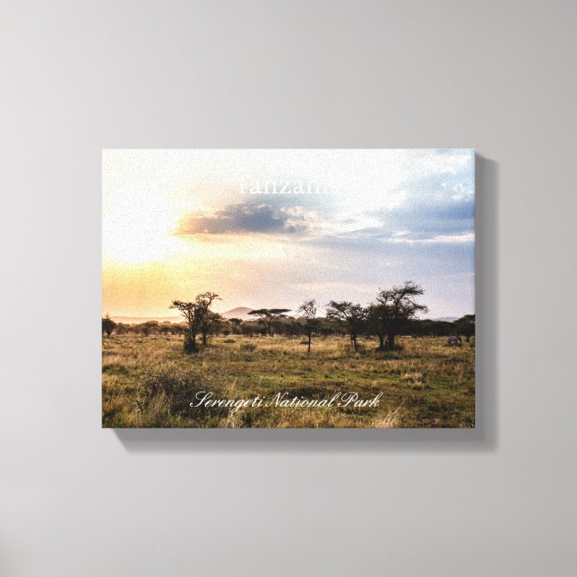 Toile Tanzanie (Recto)