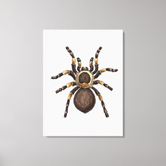 Toile Tarantula (Recto)