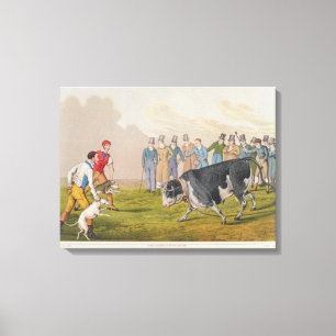 Toile "Taureau amorçant", pub.by Thomas McLean, 1820,