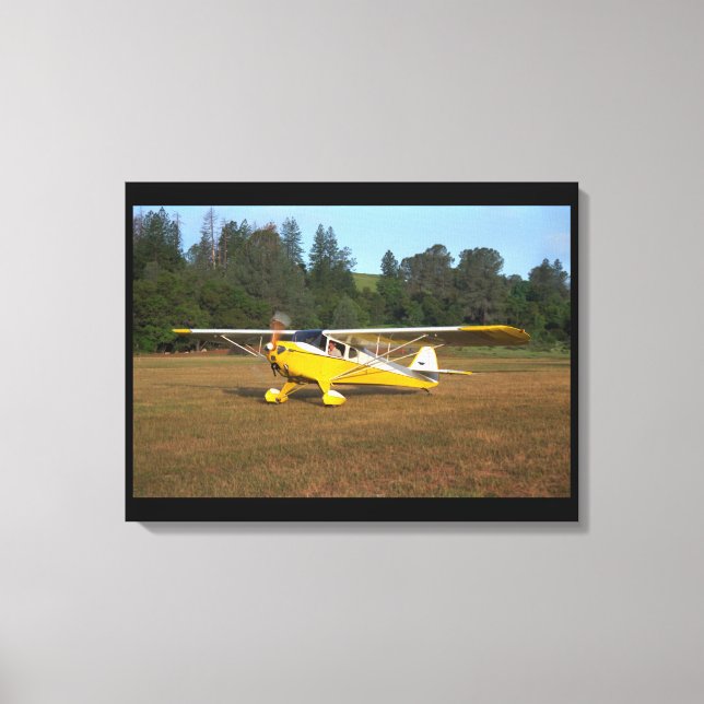 Toile Taylorcraft, BC-12, 1941_Aviation classique (Recto)