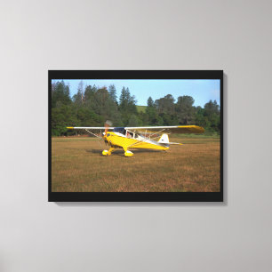 Toile Taylorcraft, BC-12, aviation 1941_Classic