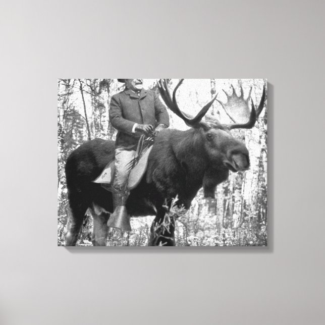 Toile Teddy Roosevelt À L'Épreuve D'Une Oie À Taureau (Recto)