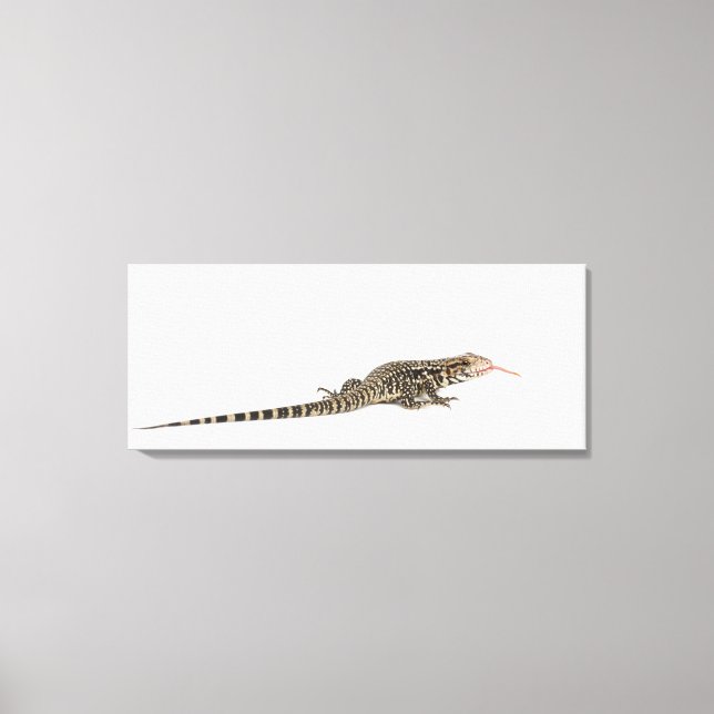 Toile Tegu bleu - Tupinambis merianae (Recto)