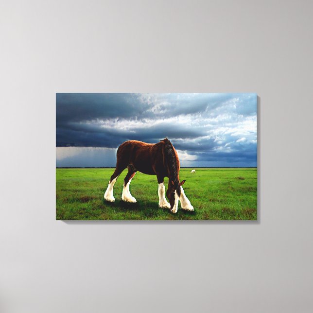 Toile Tempête de Clydesdale (Recto)