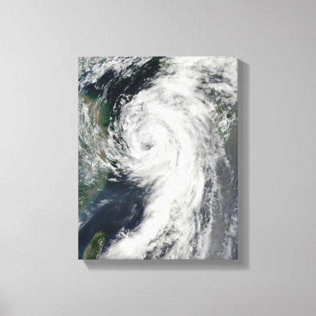 Toile Tempête tropicale Dianmu (Recto)