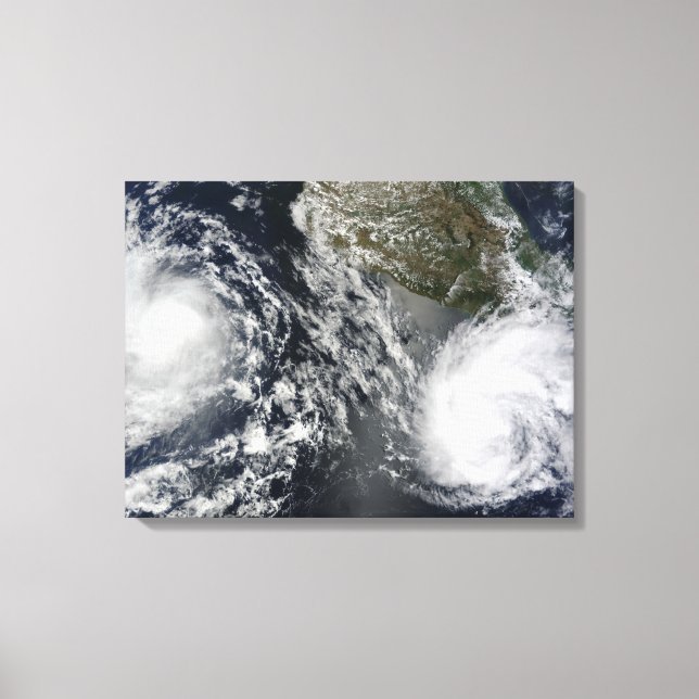 Toile Tempêtes tropicales à Blas et Celia (Recto)