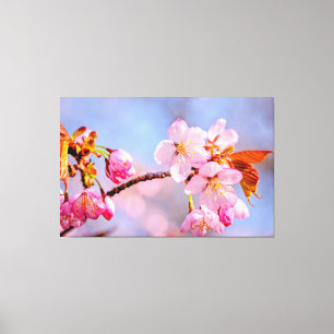 Toile Tendresse Époustouflante Des Fleurs De Sakura Au P