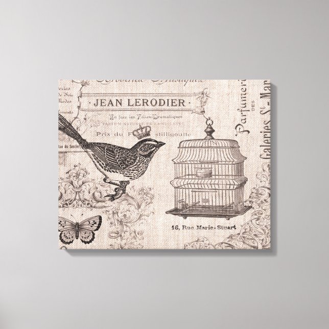 Toile tendue vintage d'oiseaux français (Recto)