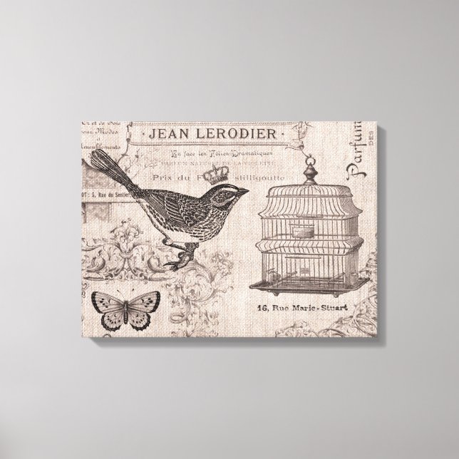 Toile tendue vintage d'oiseaux français (Recto)