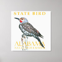 Territoire de l'Alabama Oiseau Le Colapte auréolé