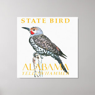 Toile Territoire de l'Alabama Oiseau Le Colapte auréolé
