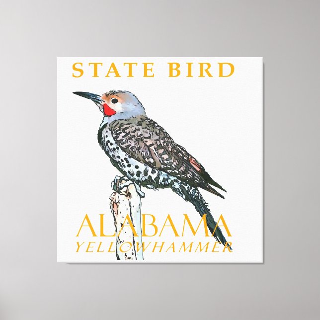 Toile Territoire de l'Alabama Oiseau Le Colapte auréolé (Recto)