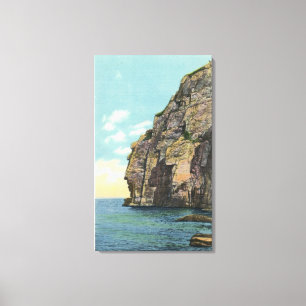 Toile Tête blanche dans le port de Portland