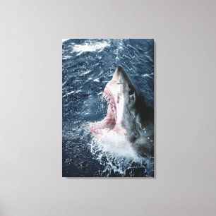 Toile Tête de grand requin blanc