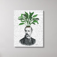 Tête du Plante Aspidistra