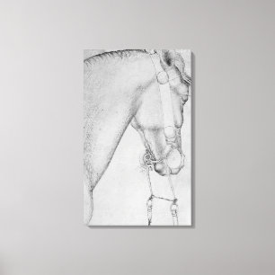 Toile Tête d'un cheval, le de l'album de Vallardi