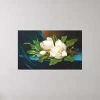 TÊTE Magnolias géantes sur un tissu de velours ble