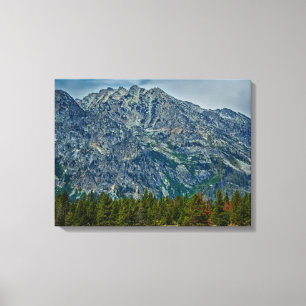 Toile Teton NP 6901