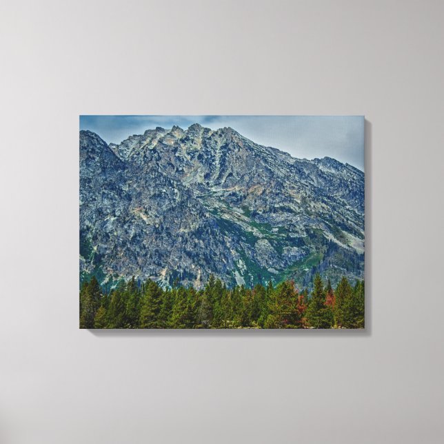 Toile Teton NP 6901 (Recto)