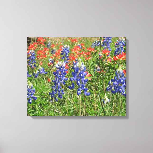 Toile Texas Fleur sauvage Bluebonnets pinceaux (Recto)